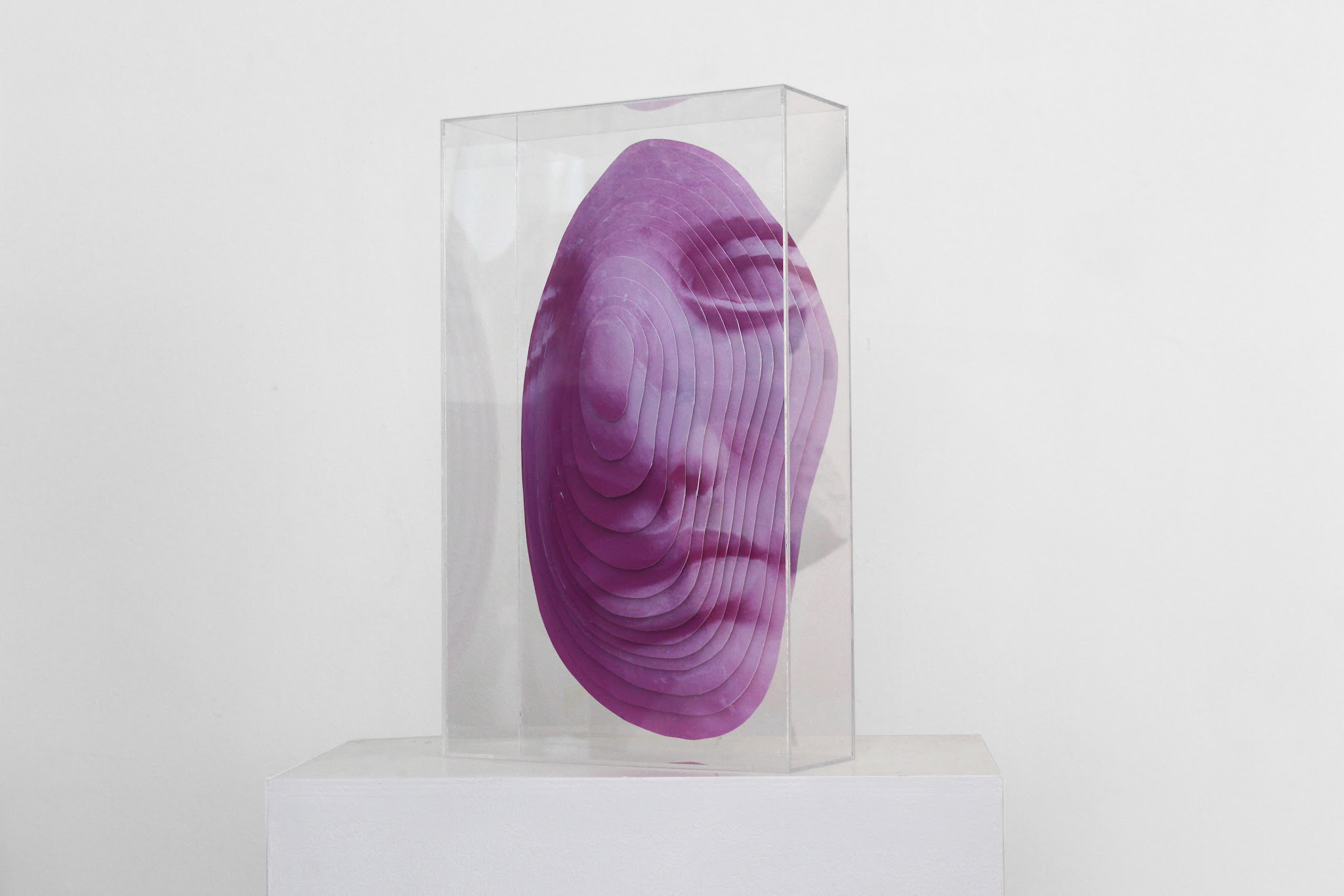 1786636175984139.png PINK VENUS.png